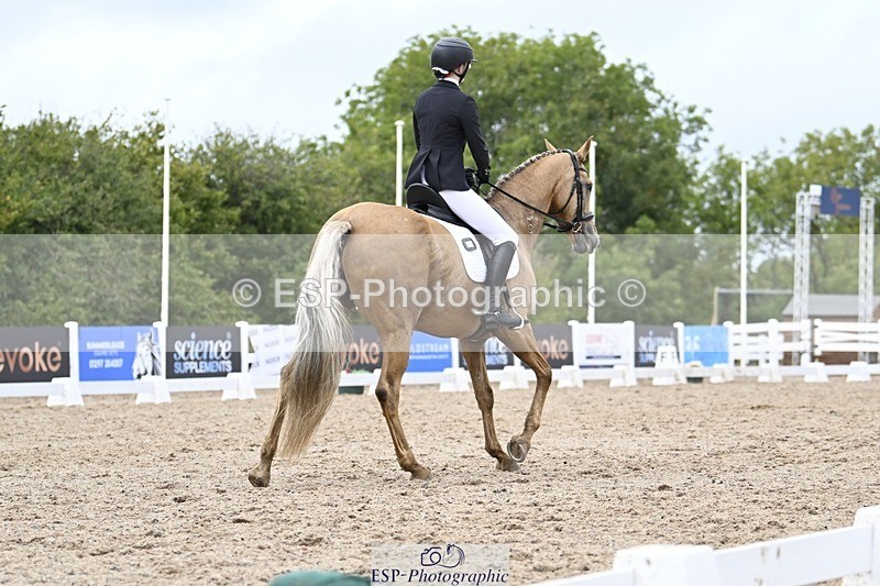 250907-170350-10880 - 054-Amy.Louise.LloydDiva.Royale