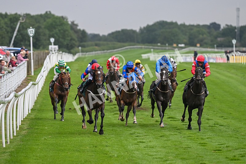 230725-Race 6-Quercus-0587 - Race 6