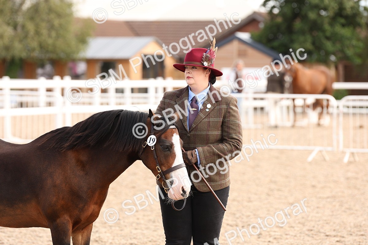 SBM_15119 - Class 209 - IH Veteran Pony