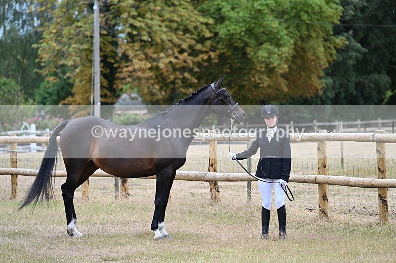 WJ7_8977 - Class 4a Prettiest Mare 14.2hh and over
