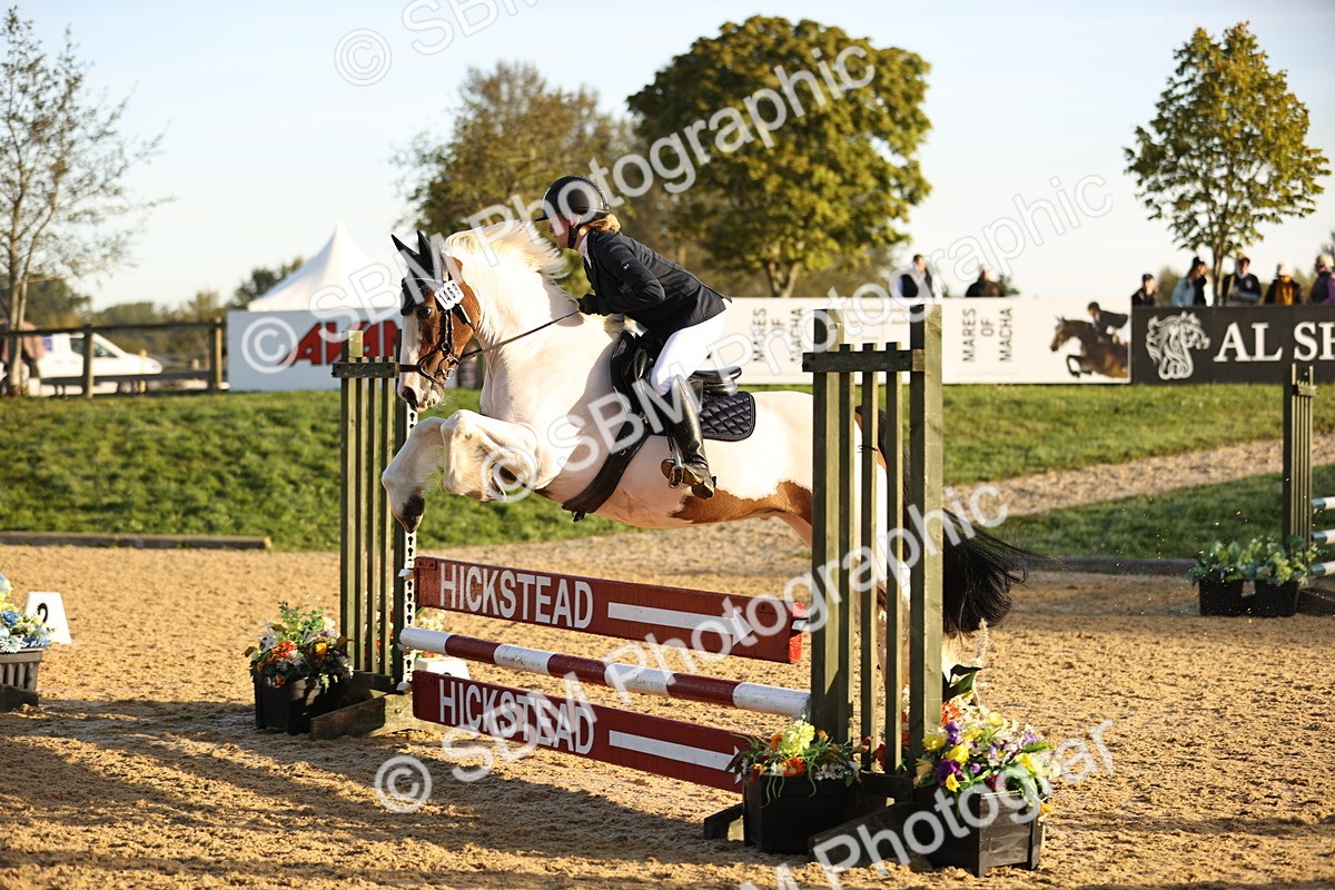 SBM_33018 - J38 - Senior 80cm Championship