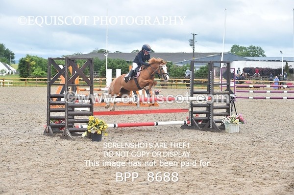 BPP_8688 - CLASS 5 Springboard 128cm/ 138cm Restricted Handicap
