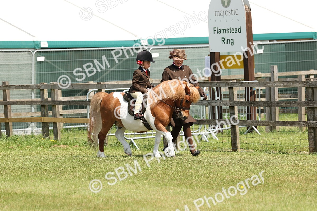 SBM_05214 - Class 24-25 - Mountain & Moorland In Hand Lead Rein and First Ridden
