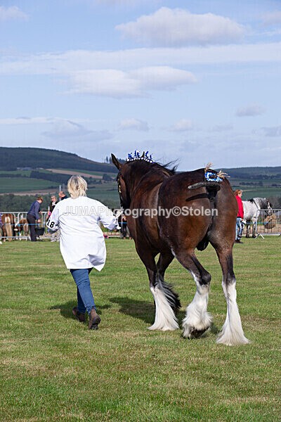 DSC_0107 - Ring 1