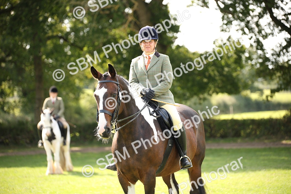SBM_70143 - S65 - Piebald & Skewbald Horse Ridden