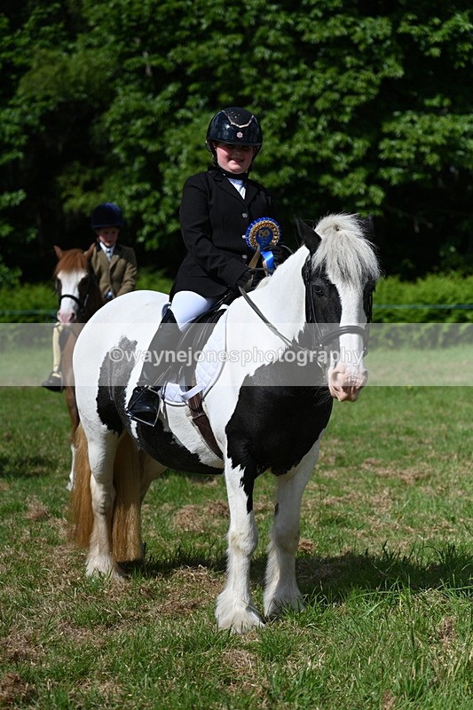 WJ7_0827 - Class 8 First Rally Pony