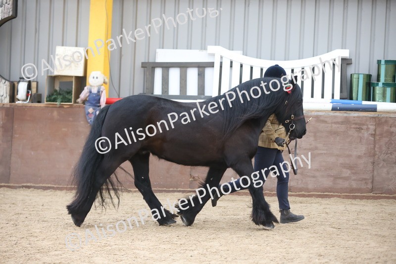 20251109-1218 - Supreme Championship