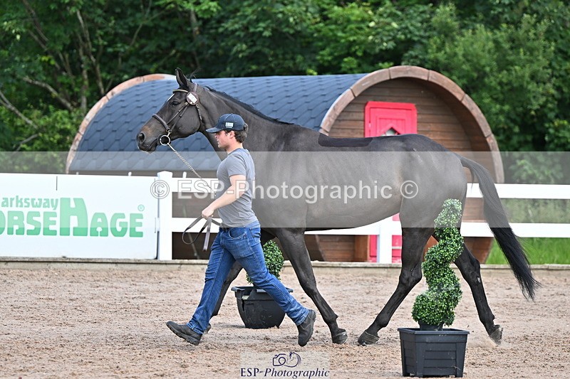 240718A-105253-01289 - Trot Up 12pm to 1pm