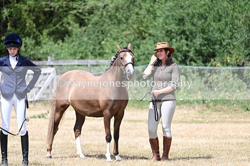 WJ7_1717 - Class 4 Prettiest Mare up to 14.2hh in hand