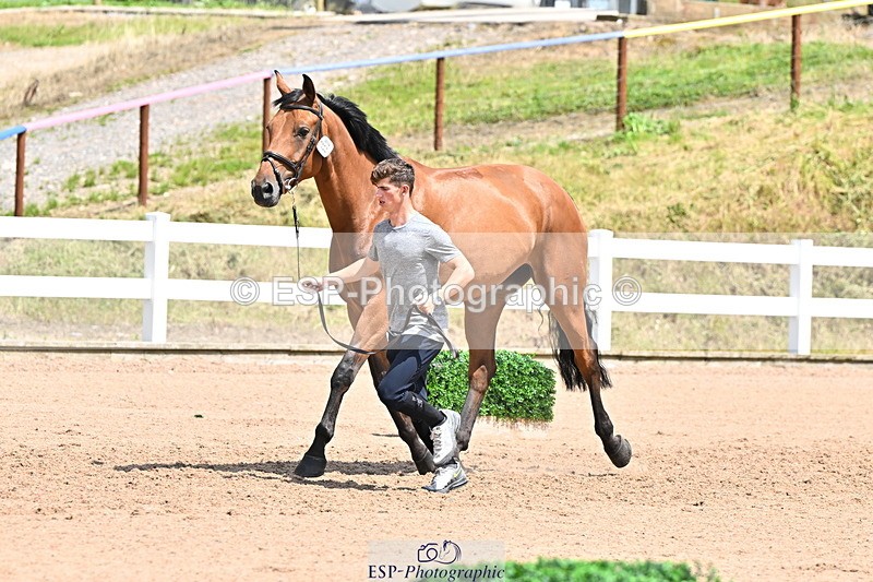 240718A-105310-01648 - Trot Up 1pm to 2pm