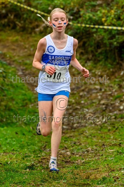 WestRLY25-911407 - Young Female Set One