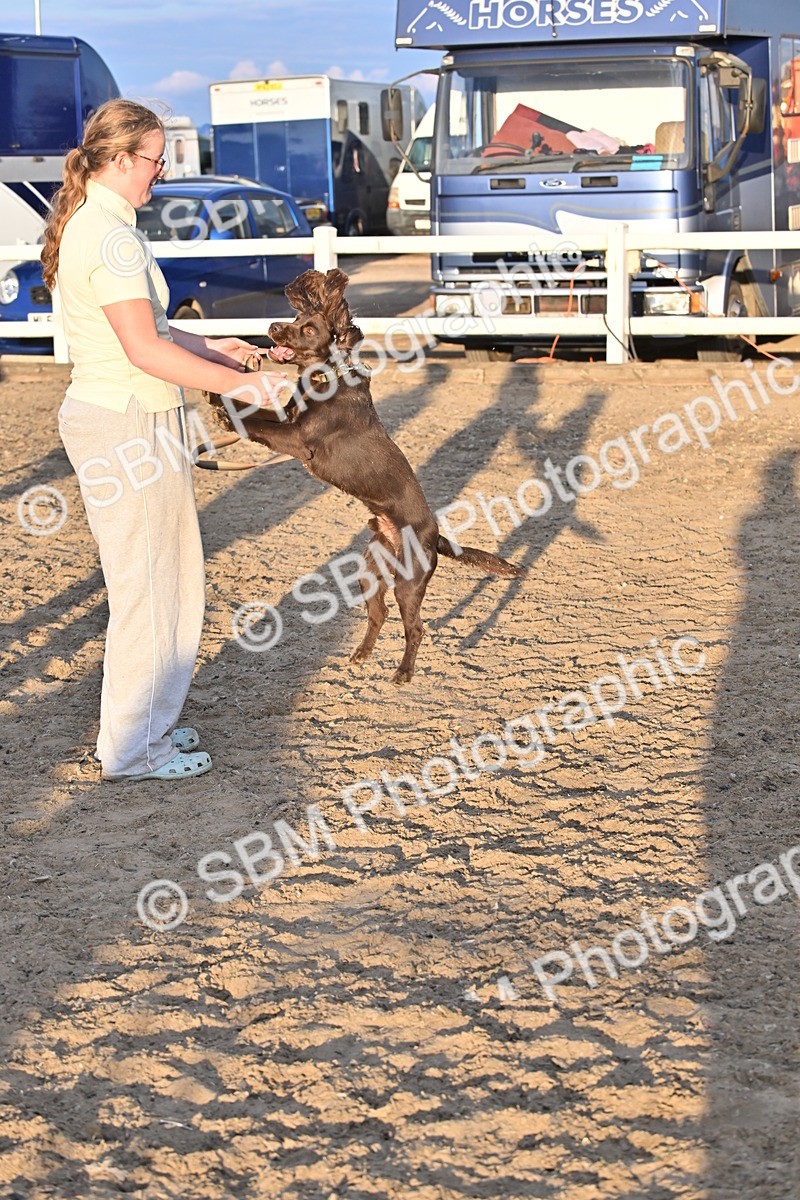 SBM_09672 - Lorry Dogs