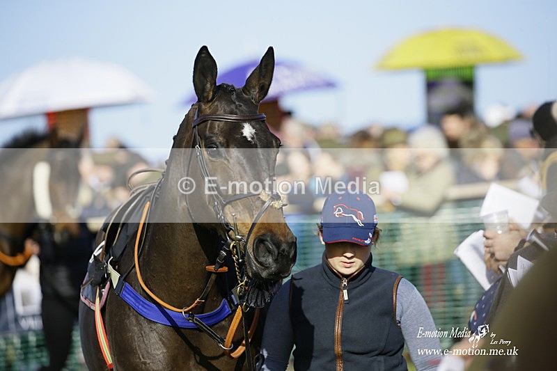 PtP 300122 62 - South Dorset Hunt - Point-to-Point Races 30/01/2022