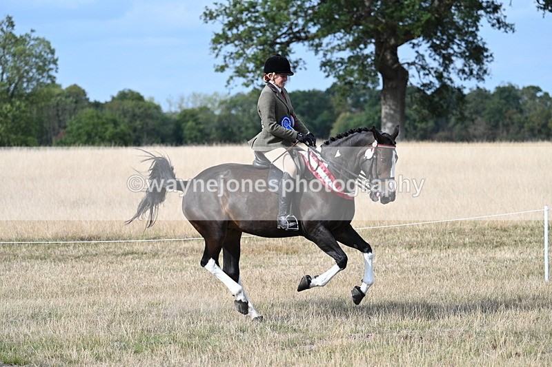 WJ7_7878 - Ridden Championship