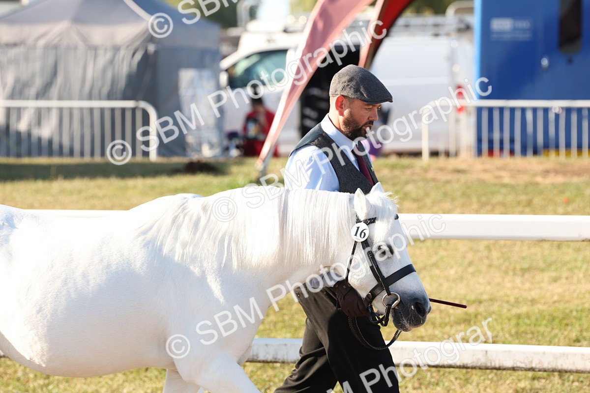 SBM_10752 - Class 201 - Best Turned Out - IH