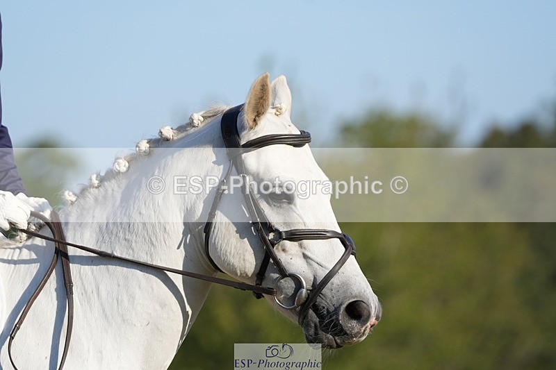 250823A-083554-25529 - Arena A