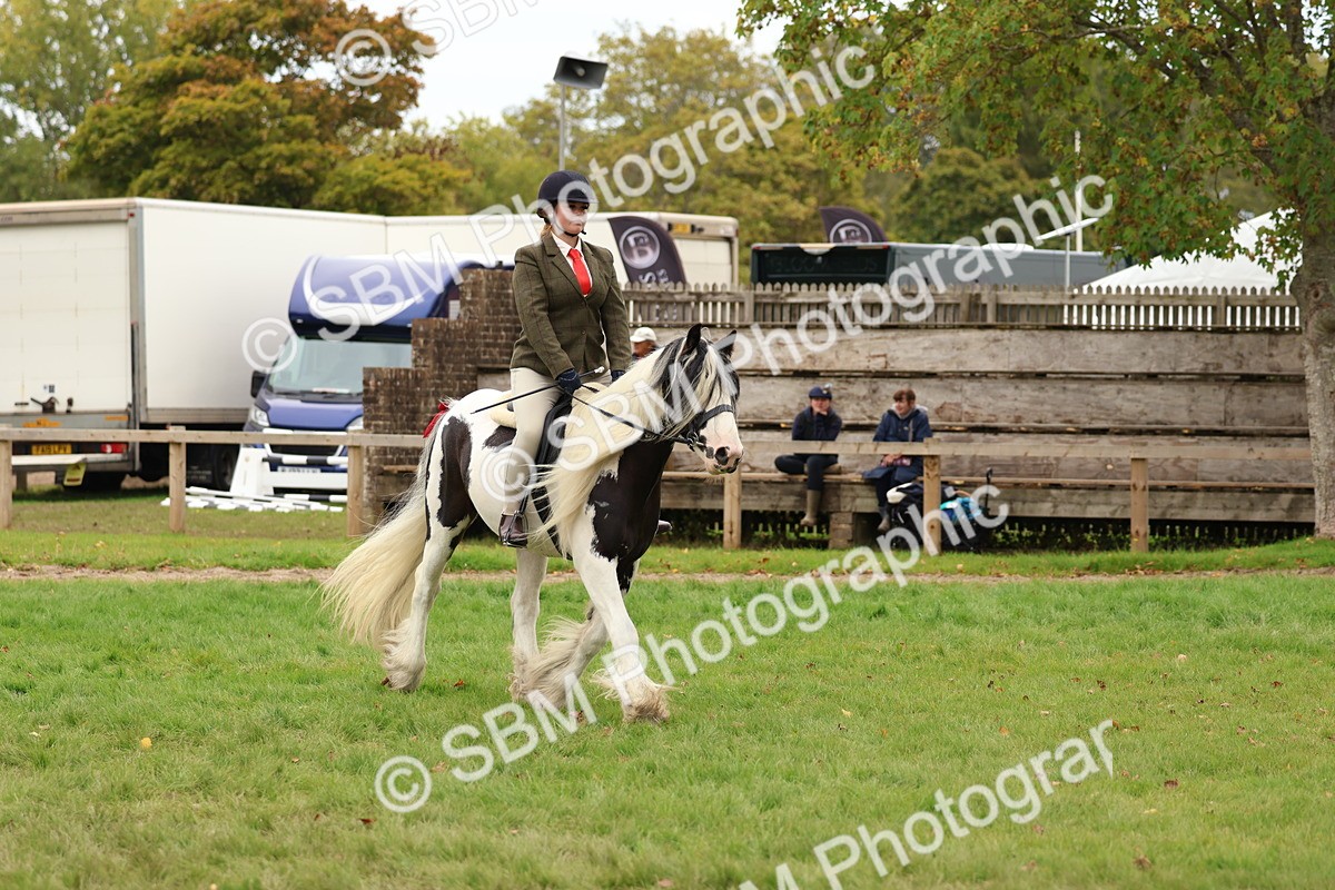 SBM_64632 - S58 - Coloured Pony Ridden