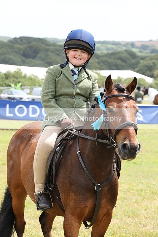JPP_1999 - Class 18: Tiny Tots Working Hunter Pony