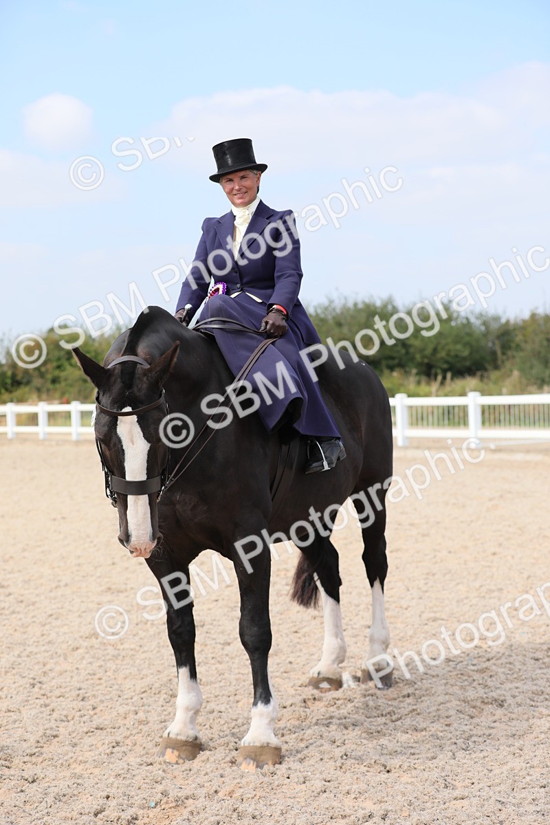 SBM_14630 - Class 211 Best Side Saddle Horse/Pony