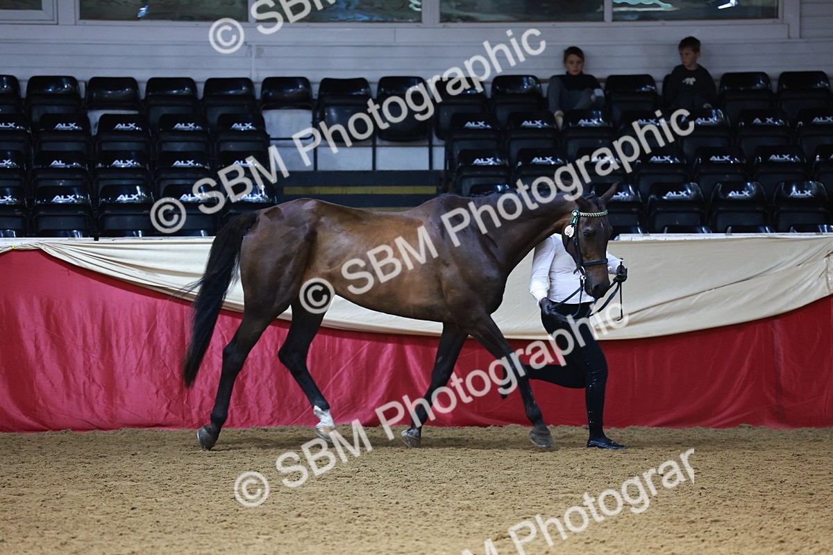 SBM_22295 - Class 902 - Supreme Final - IH Diamond