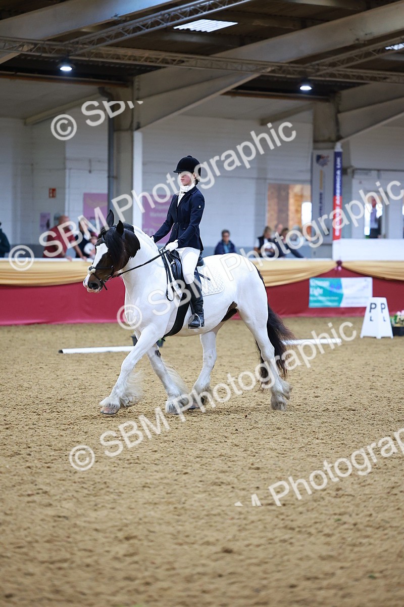 SBM_06612 - Class 61 - Dressage to Music