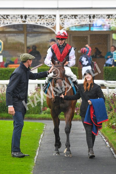 140723-Race 6-Copper Knight-0626 - Race 6 4.55pm Irish Thoroughbred Marketing Handicap
