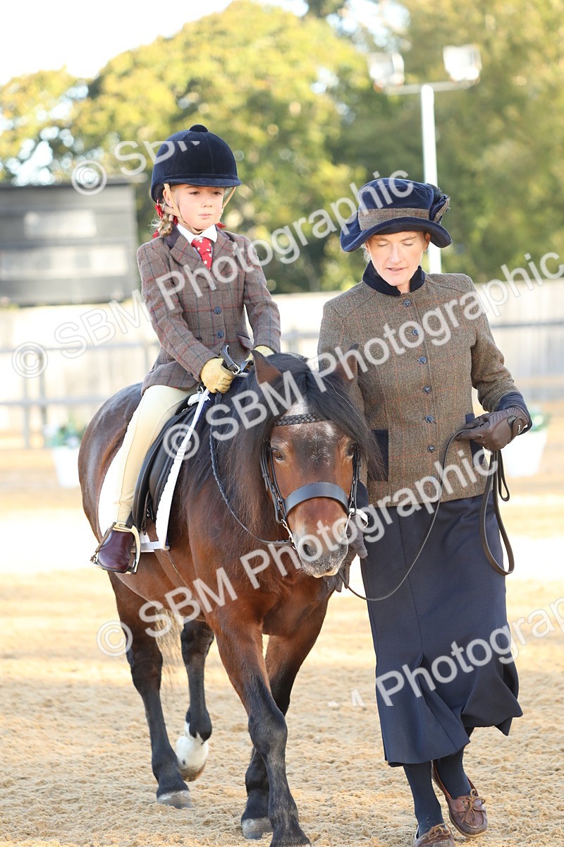 SBM_33678 - D26 - Starers - Lead Rein