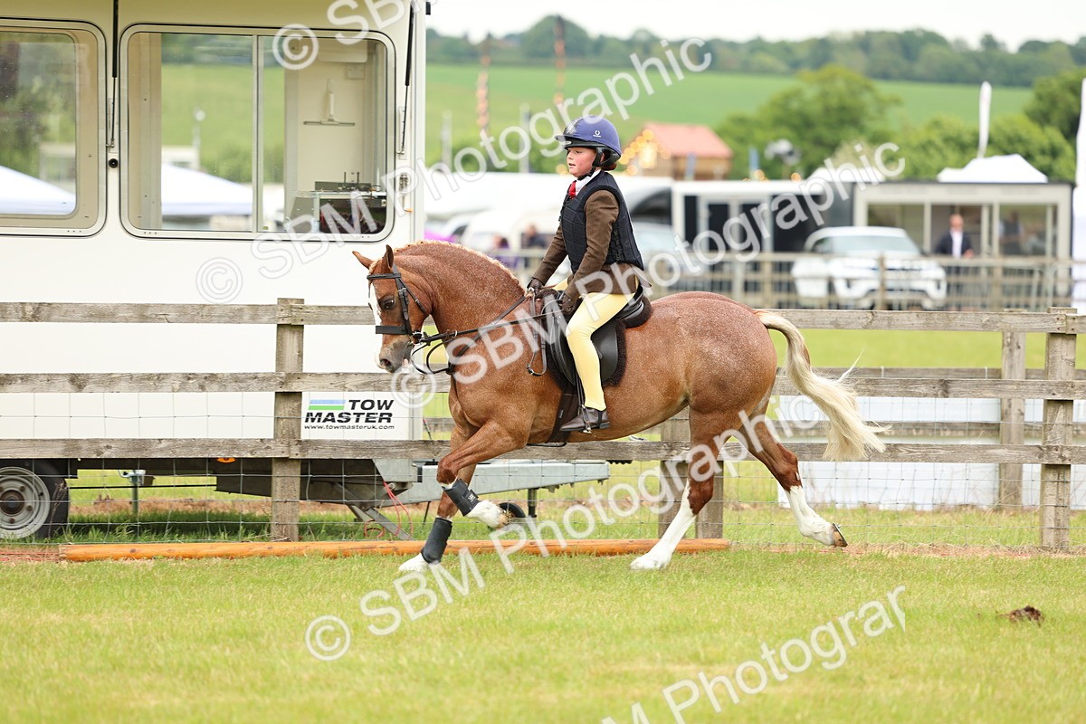 SBM_10277 - Class 44-45 - LIHS BSPS Open Nursery and Cradle Stakes