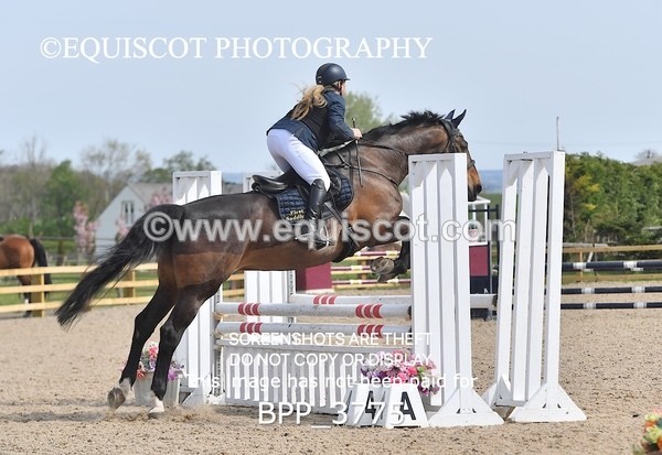 BPP_3775 - CLASS 3 Senior British Novice/ 90cm Open