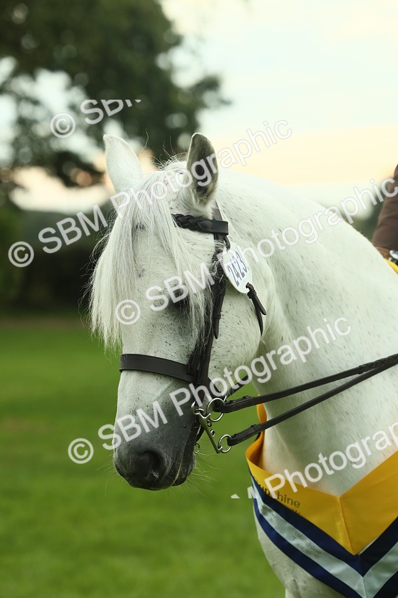 SBM_75218 - Super Supreme Championship