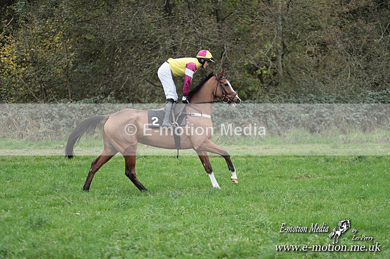 PtP 091124  203 - Knightwick Races Point-to-Point 09/11/24