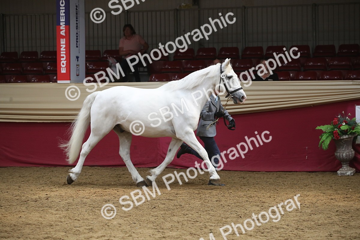 SBM_05563 - Class 9R - Regional IH Pre-Vet