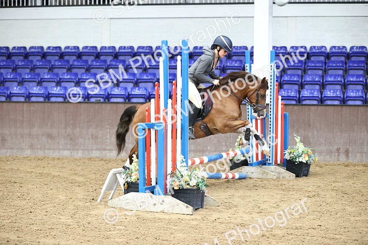 SBM_009219 - 50cm