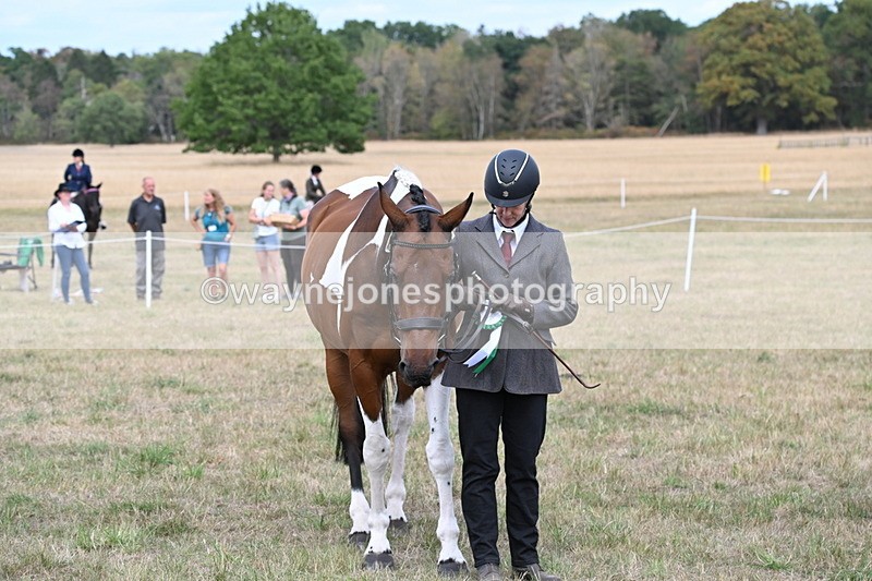 WJ6_6319 - Class 19 In-hand Veterans (Uploaded correct folder)