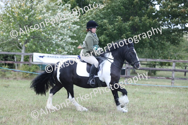 20250831-4376 - Class 20 - Ridden Coloured