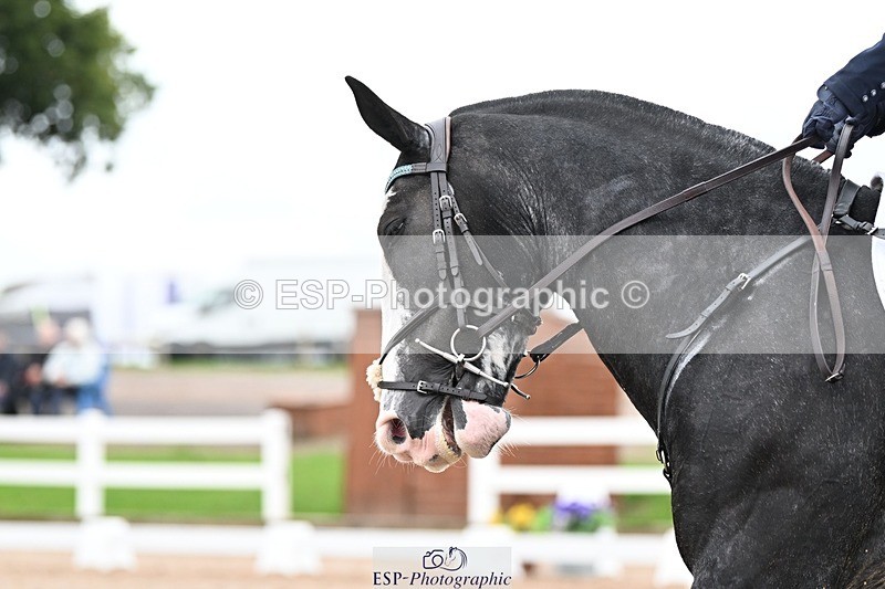 250907-123248-08358 - 061-christine.harrisonRed.Flair