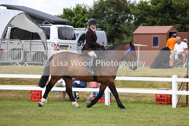 3E7A0476 - Rising Star Ridden Championship