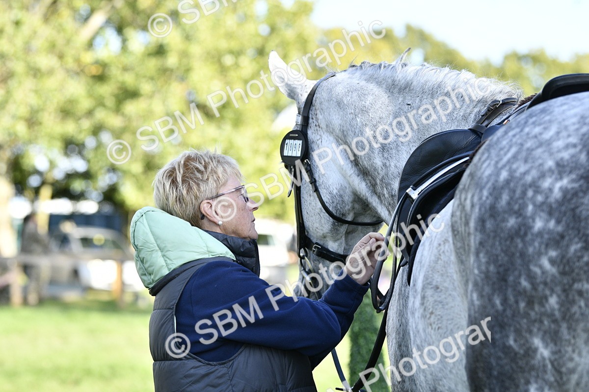 SBM_52231 - S35 - Working Hunter & Working Show Horse
