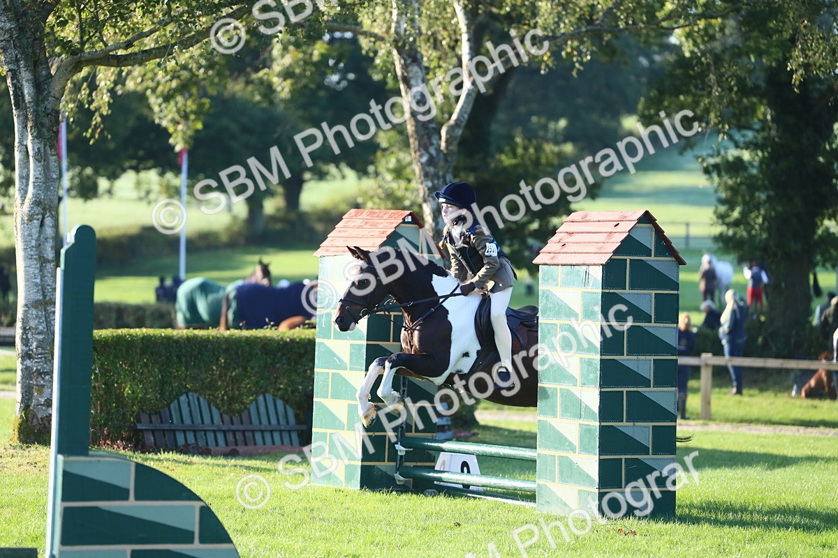 SBM_32243 - S28 - Nursery Stakes Working Hunter Pony