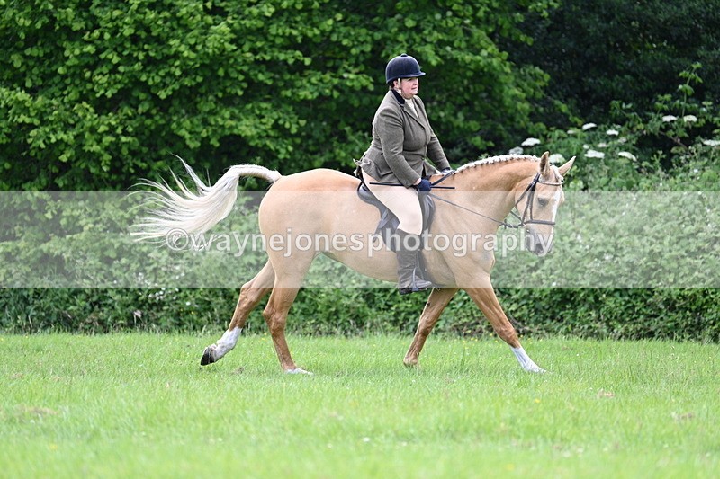 WJ7_2464 - Class 12A Coloured Class