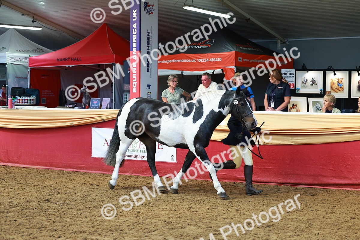 SBM_18444 - Class 903 - Sup Final - IH Pre Vet