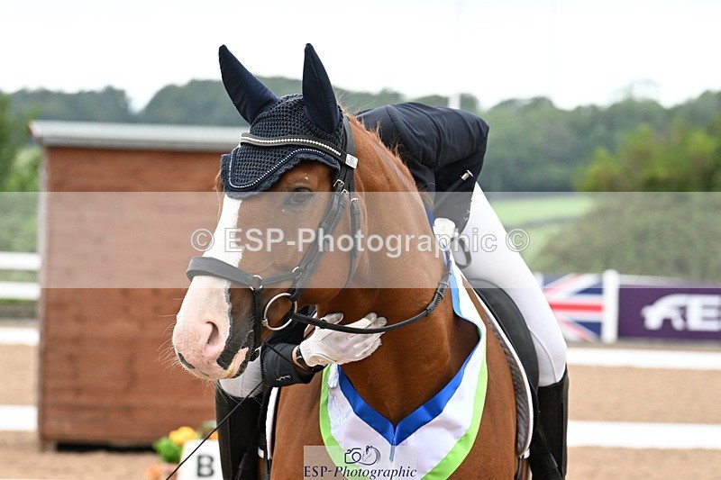 240815A-152946-02316 - Cls 9-P Freestyle Adv Medium Bronze