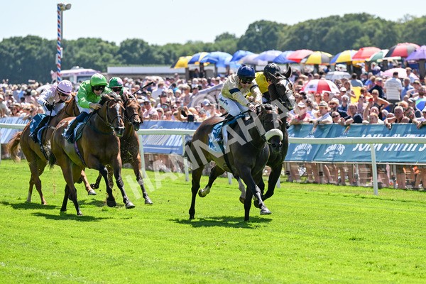 120725-Race 2-Washington Heights-0138 - Race 2 2.35pm John Smith's City Walls Stakes