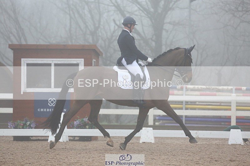 240217A-140114-03984 - 172-Jezz.Palmer-Honey.D'Or