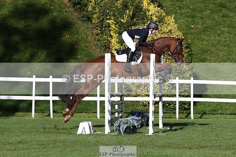 231022-104507-24717 - 667-BAILE.NA.CROISE-Emma.Pine-TrotUp+SJ