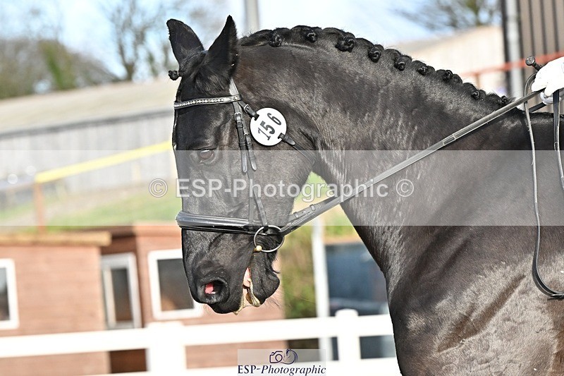 241214-133124-02465 - 156-Jo.Roberts-MajesticC