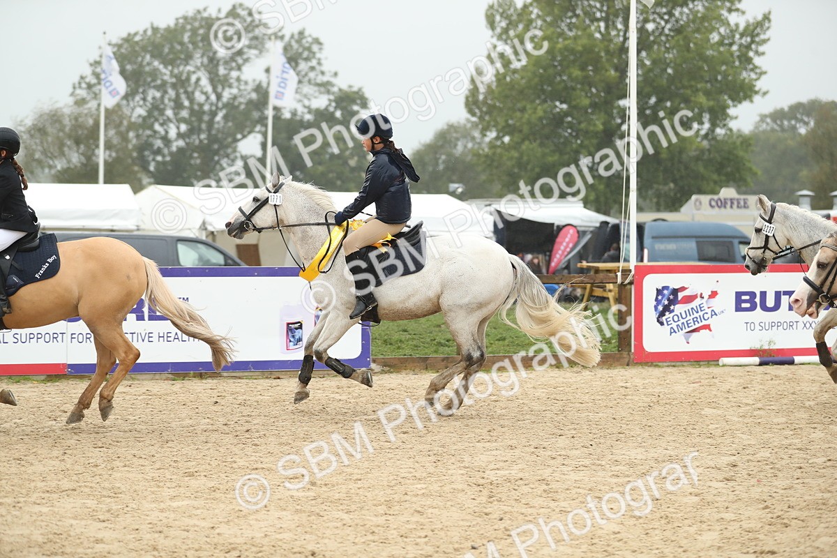 SBM_74143 - J16 - Junior Pony 75cm Championship