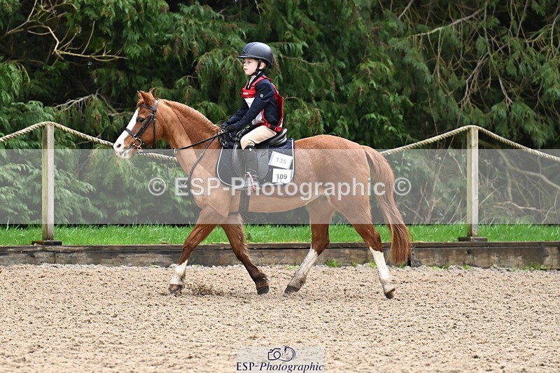 260222A-092714-00112 - 40cm Lead Rein and Assisted