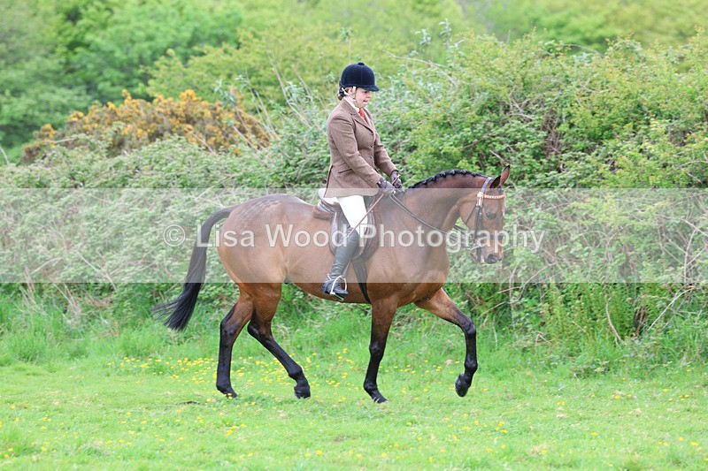 3E7A1967 - Class 10: Ridden Sports Horse