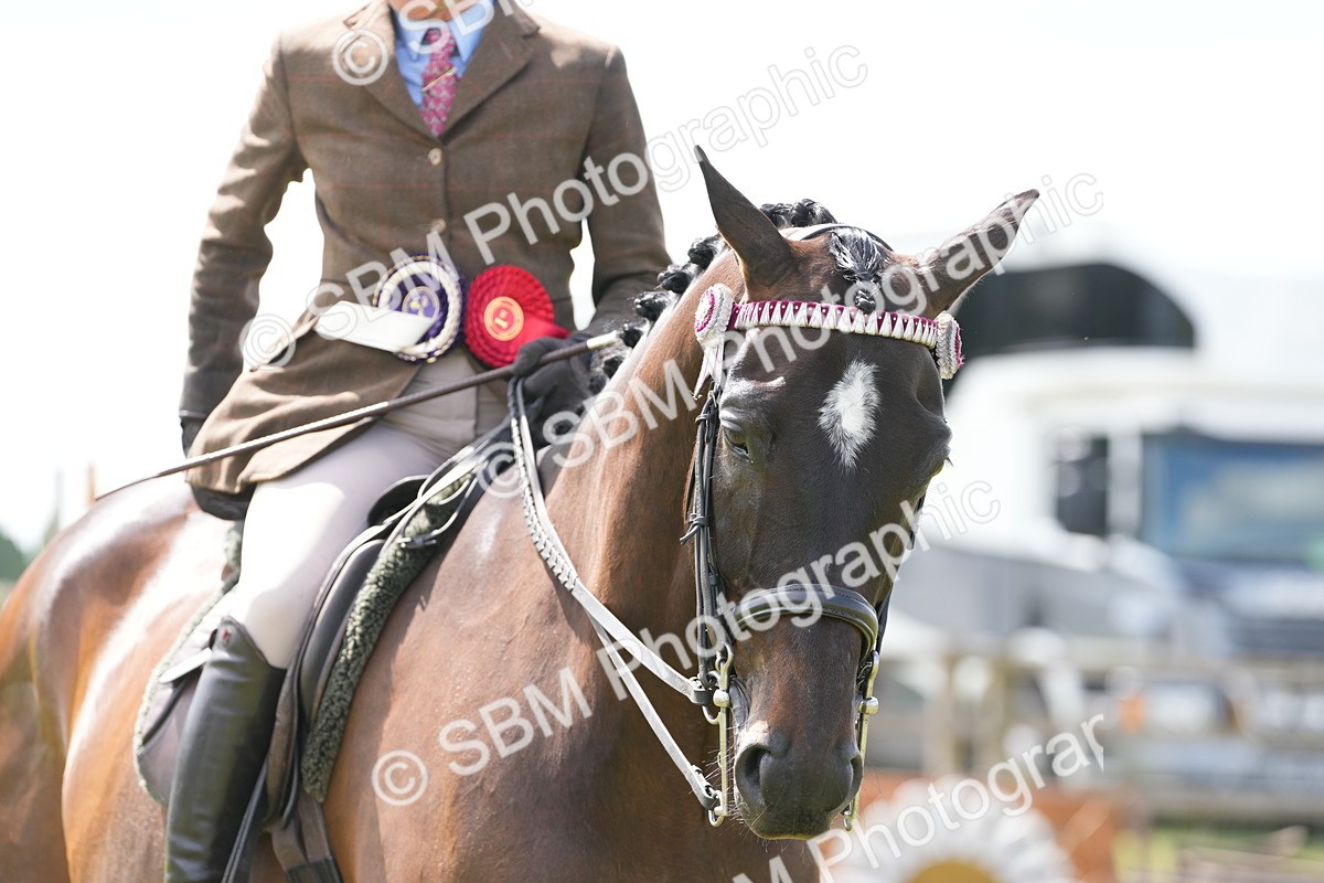 SBM_16269 - Class 105-106 - RIHS Riding Horses